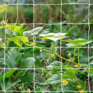 Garden Trellis Netting